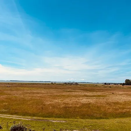 Holmblick - Boddenblick, Balkon, 2 Schlafzimmer, 4 Personen Appartement